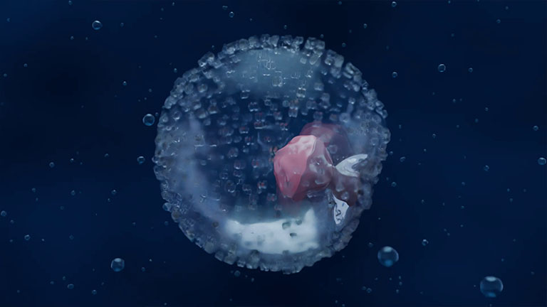 baby_week-2-mydreambaby_game