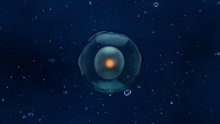 embryo_young-mydreambaby_game